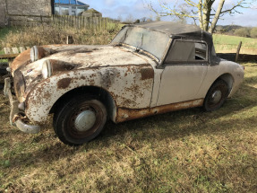 1961 Austin-Healey Sprite