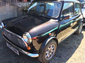 1993 Rover Mini