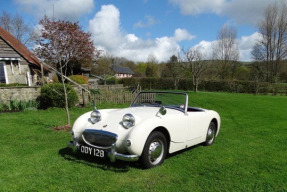 1959 Austin-Healey Sprite