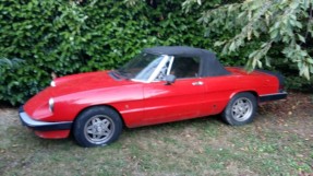 1984 Alfa Romeo Spider