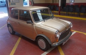 1988 Austin Mini