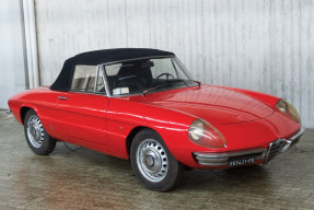 1966 Alfa Romeo Spider