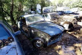  Volvo Amazon