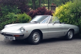 1981 Alfa Romeo Spider