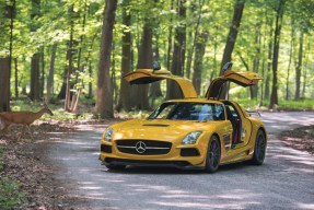 2014 Mercedes-Benz SLS AMG Black Series