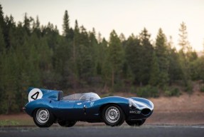 1955 Jaguar D-Type