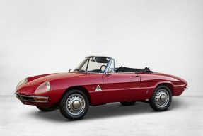 1966 Alfa Romeo Spider