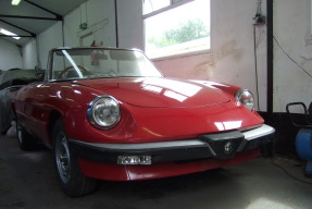 1984 Alfa Romeo Spider