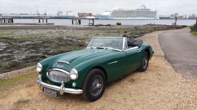 1965 Austin-Healey 3000