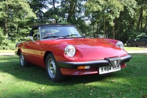 1984 Alfa Romeo Spider