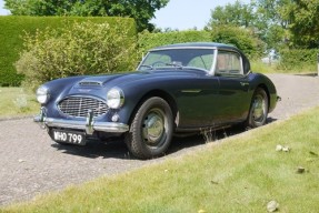 1959 Austin-Healey 3000