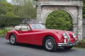 1955 Jaguar XK 140