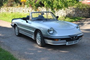 1986 Alfa Romeo Spider