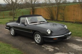 1984 Alfa Romeo Spider