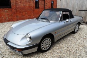 1988 Alfa Romeo Spider