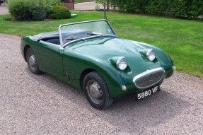 1961 Austin-Healey Sprite