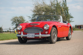 1966 Austin-Healey 3000