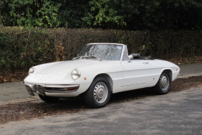 1969 Alfa Romeo Spider