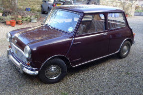 1965 Austin Mini