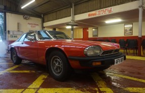 1980 Jaguar XJS