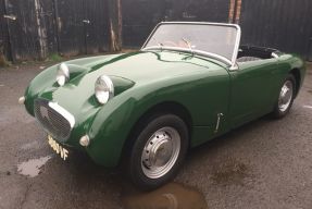 1961 Austin-Healey Sprite