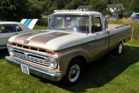 1966 Ford F100