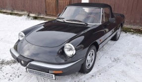 1984 Alfa Romeo Spider