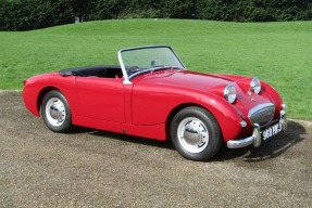 1959 Austin-Healey Sprite