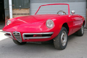 1966 Alfa Romeo Spider