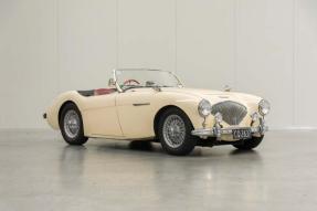 1955 Austin-Healey 100/4