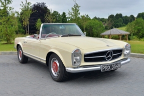 1964 Mercedes-Benz 230 SL