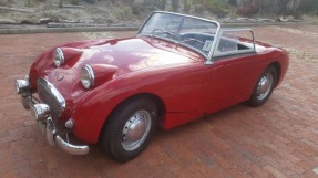 1958 Austin-Healey Sprite