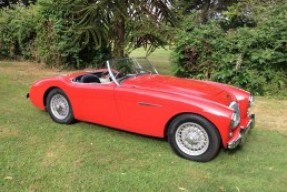 1955 Austin-Healey 100/4