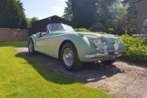 1953 Jaguar XK 120