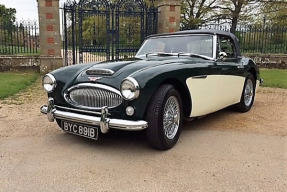 1964 Austin-Healey 3000