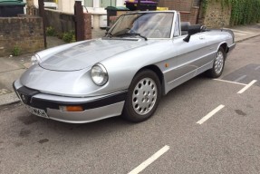 1989 Alfa Romeo Spider