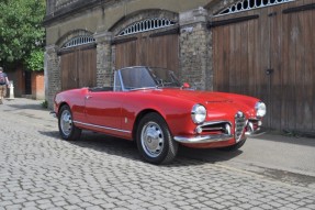 1965 Alfa Romeo Giulia Spider