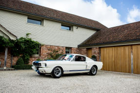 1966 Shelby GT350