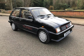 1983 MG Metro