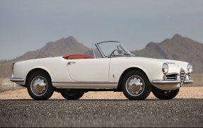 1965 Alfa Romeo Giulia Spider