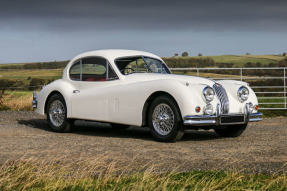 1955 Jaguar XK 140