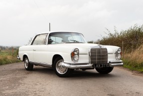 1966 Mercedes-Benz 250 SE Coupe