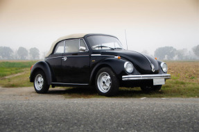 1978 Volkswagen Beetle