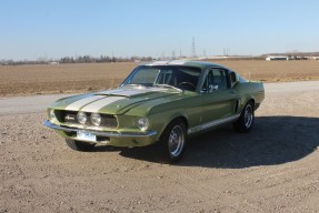 1967 Shelby GT500