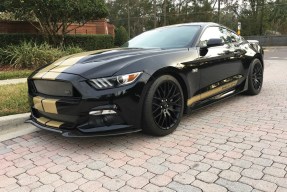 2016 Ford Shelby