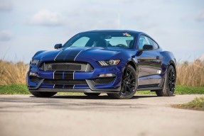 2015 Ford Shelby