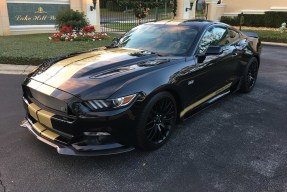 2016 Ford Shelby