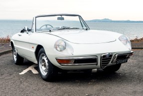 1967 Alfa Romeo Spider