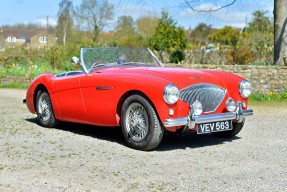 1955 Austin-Healey 100/4