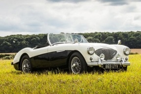 1954 Austin-Healey 100/4